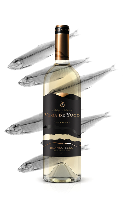 Vegadeyuco.com Bodegas y viñedos en La Geria Lanzarote