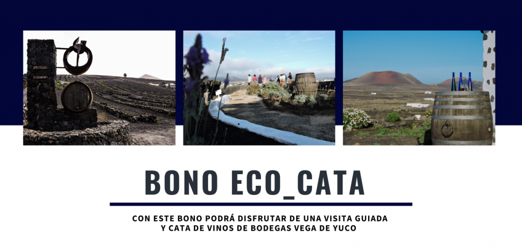 Bono Cata y Visita Guiada