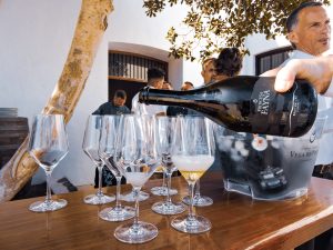 Princesa Fayna - Gran Oro