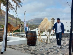 Presentación Lanzarote Wine Run