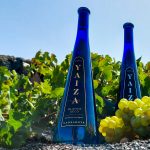 Primer vino embotellado 2026