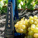 Primer vino embotellado 2026
