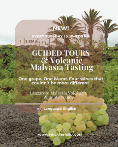 Guide tour and volcanic Malvasía tasting Monográfico- Malvasía Volcánica